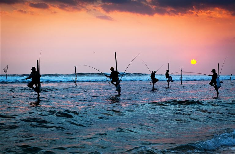 Sri Lanka Highlights & Baden im Indischen Ozean © Melinda Nagy/adobestock